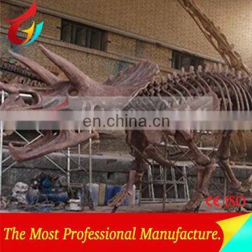 High Quality and High Simulation Dinosaur Skeleton Replica Supplier