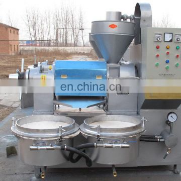 Factory direct sale automatic screw cold moringa seed oil press machine almond hemp seed oil press machine