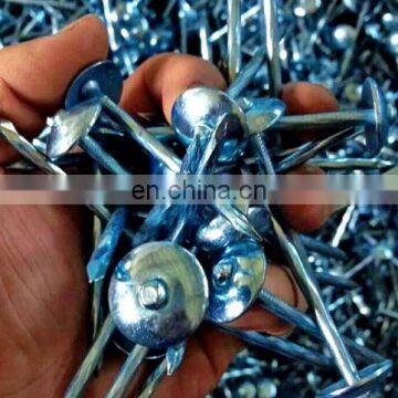 Hot wholesale galvanized umbrella roofing nail