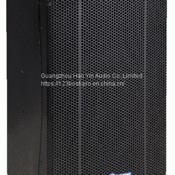 10 Inch 2 Way PA Speaker PK-10