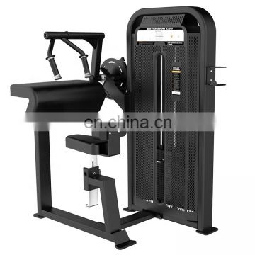 Indoor Gym Equipments Exercises Gym Bicep Triceps Machine