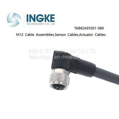 INGKE,TAB62435501-060,M12 Cable Assemblies,Sensor Cables / Actuator Cables