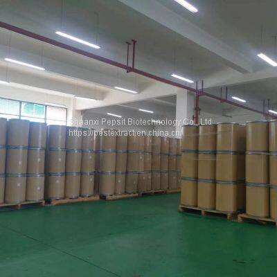 Echinacea Purpurea photo-4