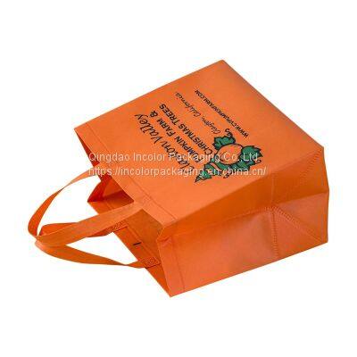 Nonwoven Shopping Bag photo-2