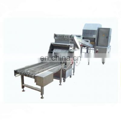 Complete automatic Spring Roll Production Line