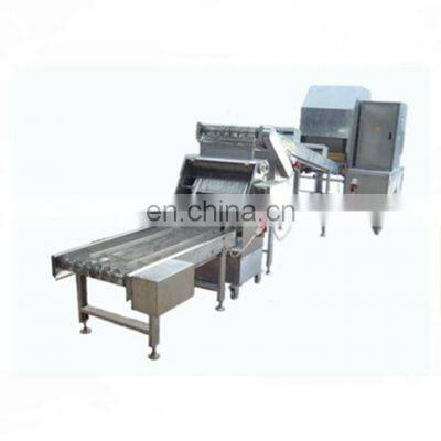 Spring Roll Wrapper Production Line