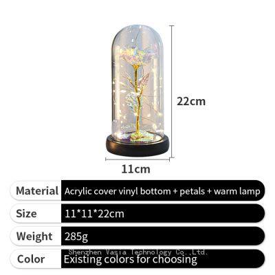 Eternal Forever Rose in Glass Dome With LED Light Gift Box for Mom Women Valentines Mothers Day Bulk photo-5
