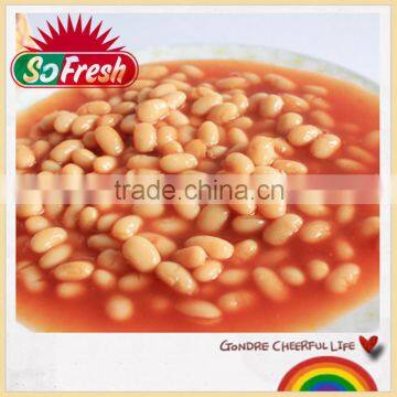 New arriving canned baked beans 425g