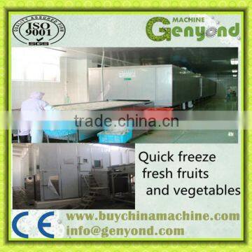 SSD IQF Tunnel Quick Freezer