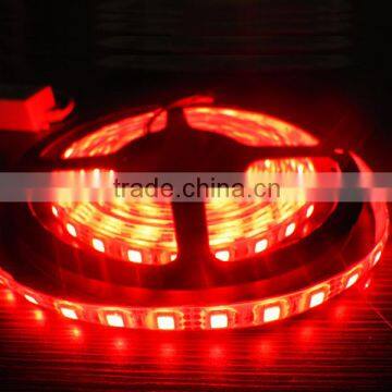 2016 Festalight Factory Price 5m/roll Ourdoor Christmas Swimming Pool Lights Smd 3528 Flxible Led Light Strip 5050 Blue ce Rohs photo-6