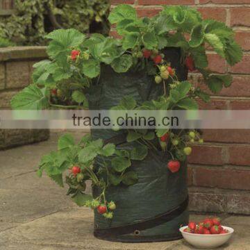 planter, greenhouse