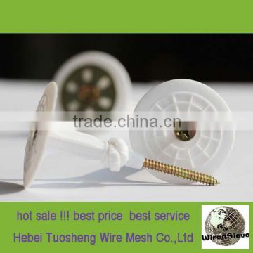 external wall insulation anchoring nail/heat insulation nails