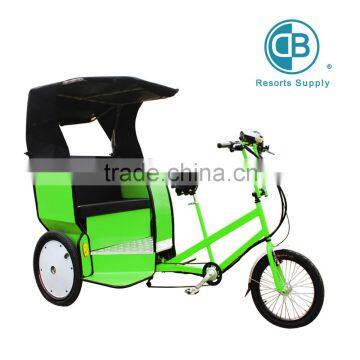 3 wheel passenger's adult electric tricycle                        
                                                Quality Choice