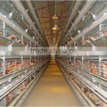 H type chicken cage