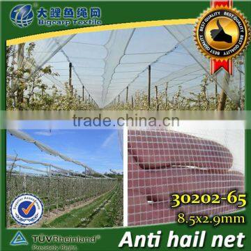 Leno anti hail net for orchard with shade value 12% , 30202-65 mesh size8.5x2.9mm