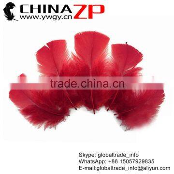 Wholesale Plume ZPDECOR Crafts Factory Colorful Dyed Burgundy Turkey Flat T-Base Body Plumage Feathers for Decorations