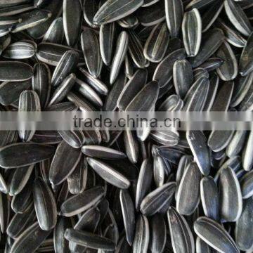 Chinese Black Sunflower Seed5009