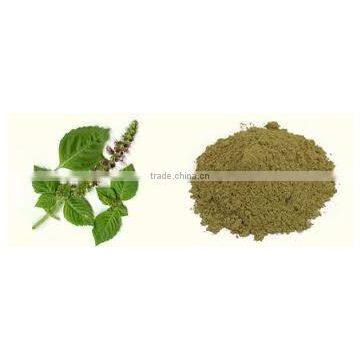 STAVIA POWDER INDIAN TULSI POWDER photo-4