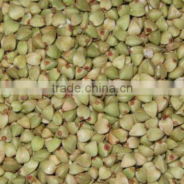 High Quality Raw Buckwheat Kernel