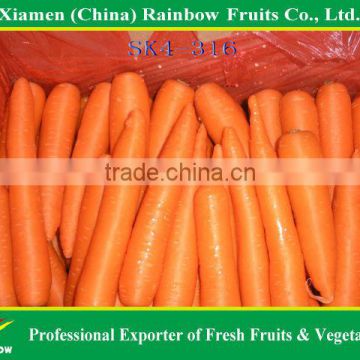 Fresh Red Carrots for Sale