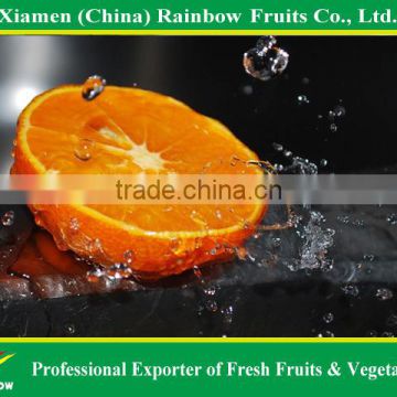 Fresh sweet kinnow mandarin citrus fruit from China