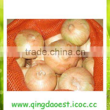 Fresh new crop onion from China