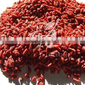 dried goji berries