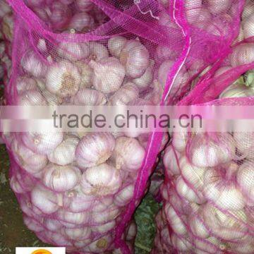 Fresh super quality normal white garlic low price (10kg mesh bag)