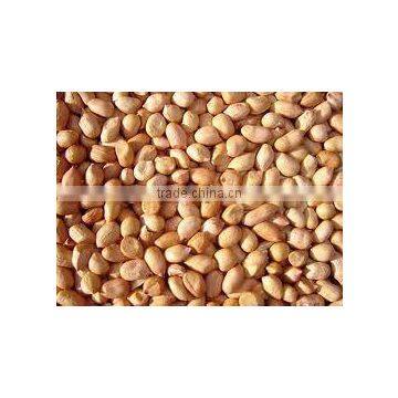 Groundnut seeds