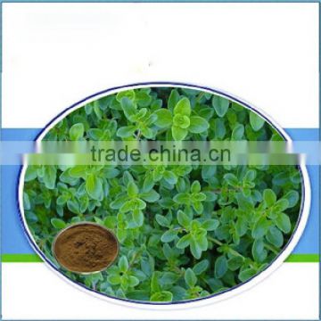 Factory Supply 100% Natural Thyme Extract Thymol Powder from plant extract in China