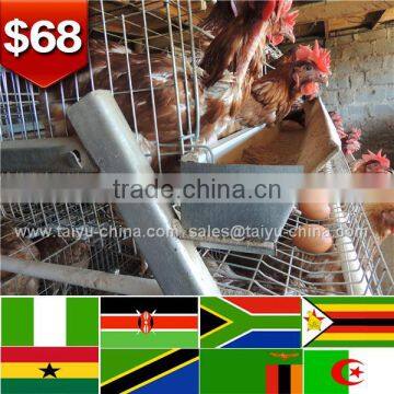 Trade assurance NO.1 automatic ventilating system 1.95m poultry cage for farm