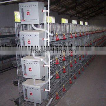 Poultry Equipment For Broilers