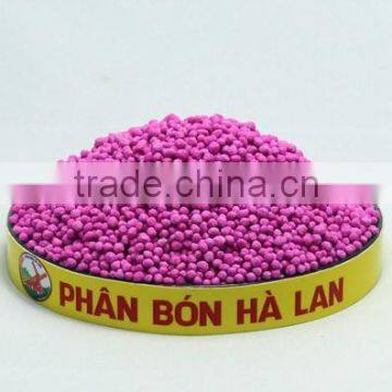 SEVEN SPECIALIZE FOR FRUIT photo-4