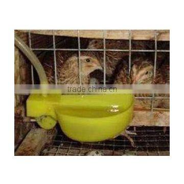 Quail/pigeon Drinkers/bowl/waterer for Sale photo-2