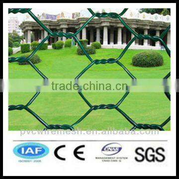 alibaba China wholesale CE&ISO certificated plant protection hexagonal wire mesh(pro manufacturer)