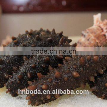 Tunnel Conveyor Belt Sterilizer Seaweed Dryer photo-2