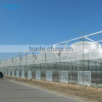 Commercial Used Galvanized Steel Frame Multi Span Greenhouse/Invernadero photo-2