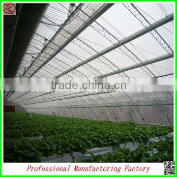 Venlo Agricultural pc Sheet Vegetable/fruit/flower Greenhouse photo-6