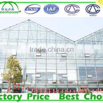 Venlo Glass Greenhouse photo-3