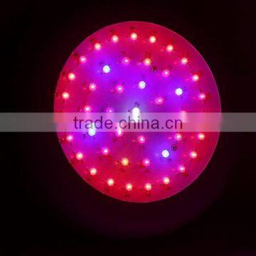 120w Cheapest Led Growing Light for Horticulture Shop photo-5