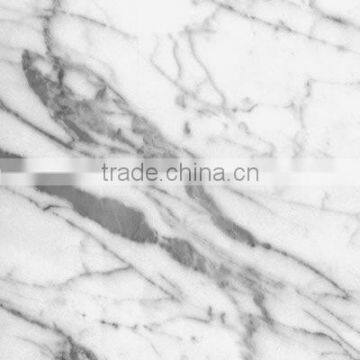 Arabescato piana white marble slab