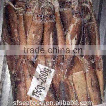 Seafood Squid Price of Frozen Seafood Illex Squid photo-2