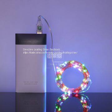 USB 5 Meter 50 Lights 10 Meter 100 Lights Colorful Munti Color Choosing Customized Copper String Fairy Firefly Light photo-5