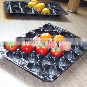 Fresh Fruit Blister Container photo-5