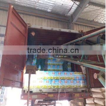 Best Selling- Special Chunmee Green Tea, the Vert 41022AAAAA photo-5