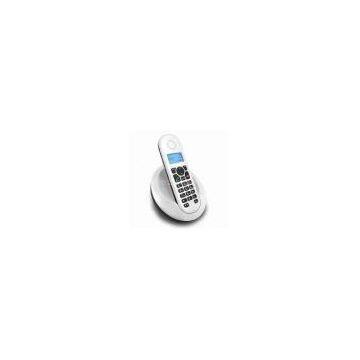 DECT Phone