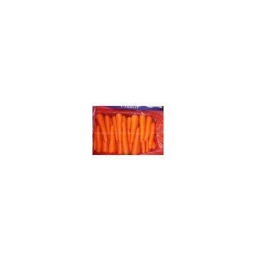 Fresh Carrot