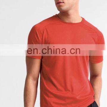 Men Summer Apparel 100% Cotton Round Neck t Shirts Customize for Men photo-4