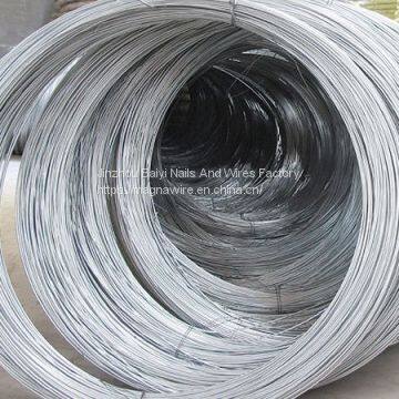 Electro Galvanized Iron Wire for Saudi Arabia Market