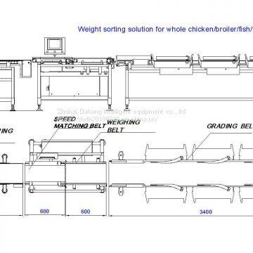 Poultry Chicken Broiler Weight Sorting Machine Weight Grader photo-5